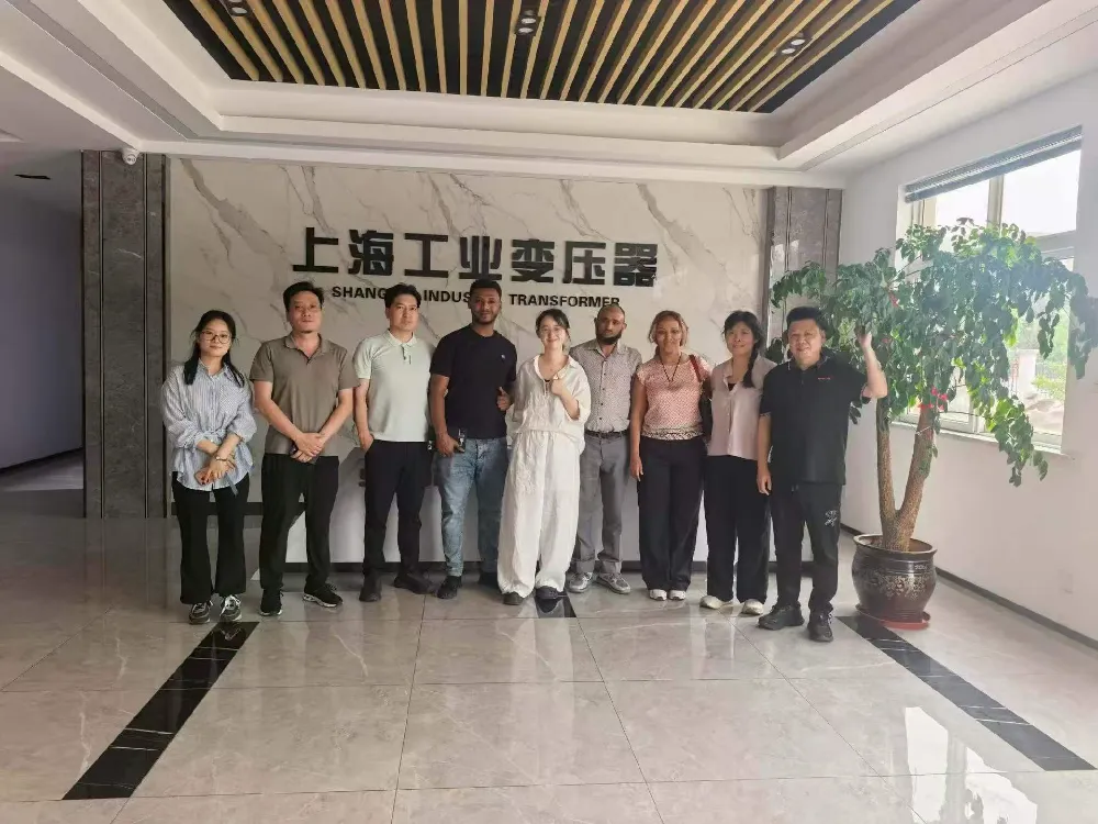 Warm Welcome! Aethiops Delegatio visitationes Shanghai Industrial Transformer Co., Ltd. pro Exchange in Transformers & Power distributio Equipment