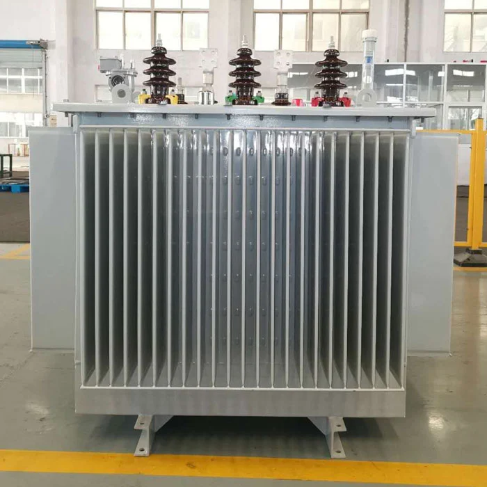 Oleum 800kva Transformer immersus